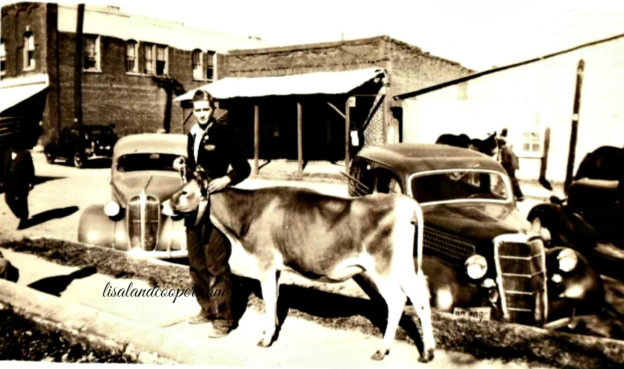 Through the 1950s it was a common sight to walk out of the Douglas County Courthouse and see mules and other animals on Bowden Street as the Abercrombie Mule Barn was located at the corner of Church and Bowden Streets. (Courtesy of the Douglas County Public Library)